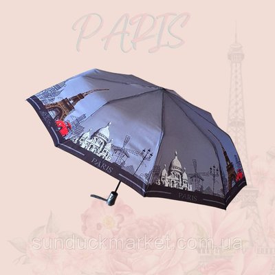 Женский зонт Toprain- 557 полуавтомат Париж на 9 спиц PR0002 фото
